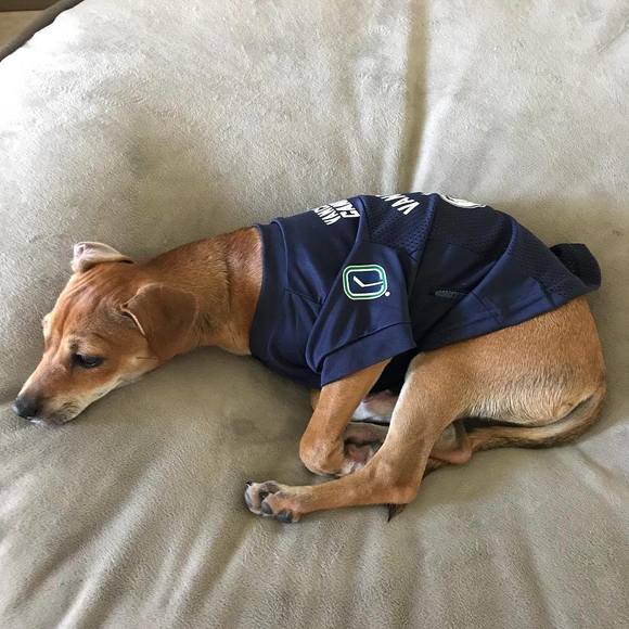 Meet your Posher, Cori - Picture 1 of 1